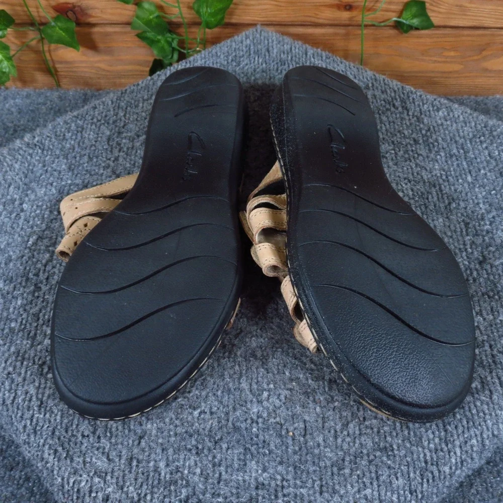 Clarks leisa cacti
